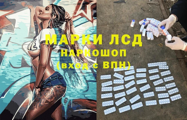 шишки Коряжма
