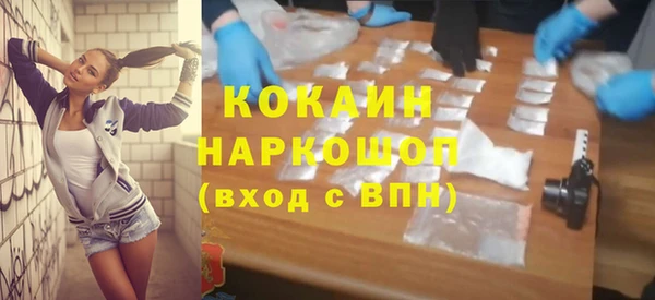 шишки Коряжма