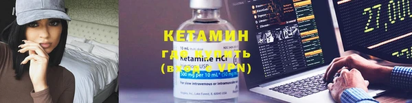 шишки Коряжма