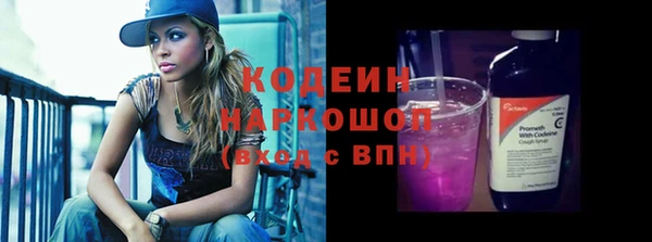 шишки Коряжма
