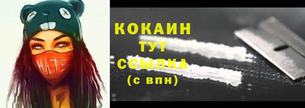 шишки Коряжма