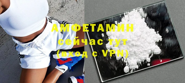 шишки Коряжма