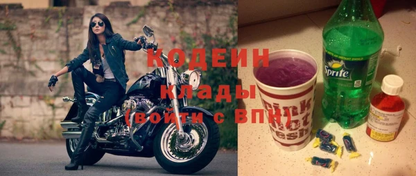 шишки Коряжма