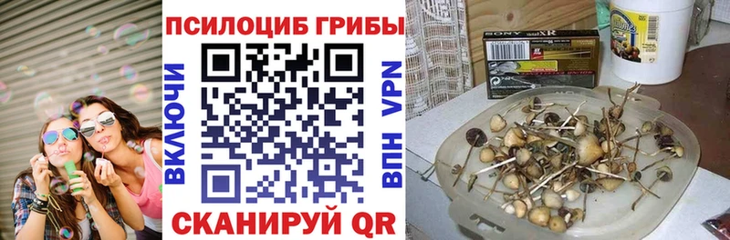 Псилоцибиновые грибы ЛСД  Купить закладки  Шарья 